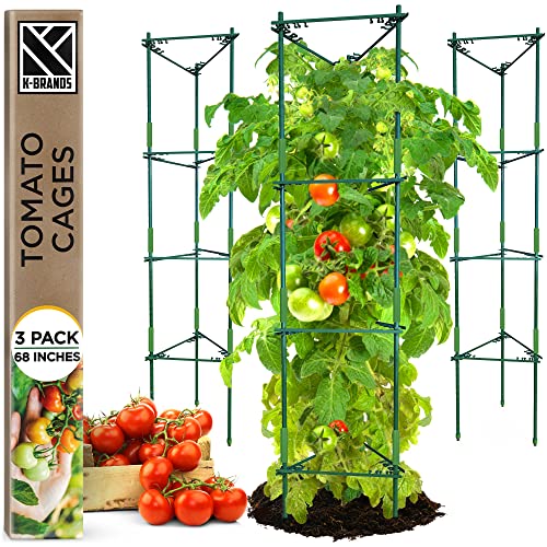 Best Tomato Plant Cage Reviews and Buying Guide 2023 Maine Innkeepers