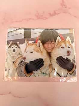 FANTASTICS 八木勇征　CONTACTトレカ　限定版、通常版全種セット Amazon.co.jp: 八木勇征 1st写真集 CONTACT 初版 トレカ