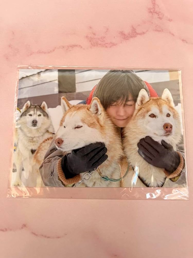 Amazon.co.jp: 八木勇征 1st写真集 CONTACT トレカ 犬