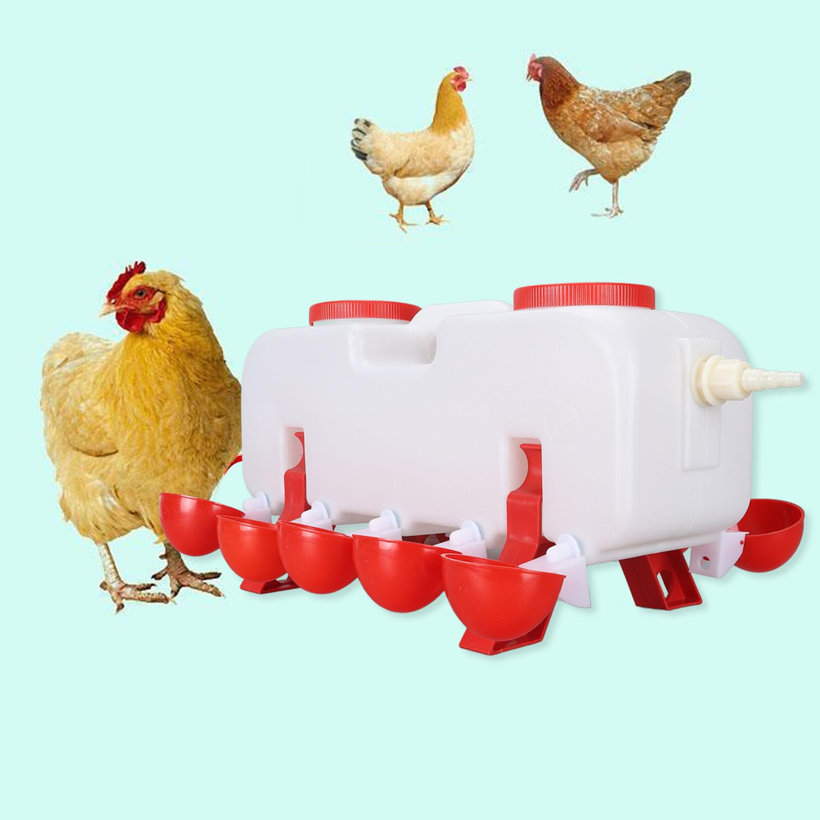 Abbeveratoio per Polli 10L Riempimento Dall'Alto, 10 Tazze, for