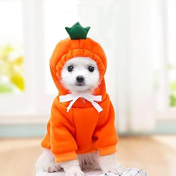 Amazon Derayee ペット 服 猫 犬 22年 年賀状 撮影 秋 冬 防寒 フード付き コスチューム コスプレ 小型 お正月 にんじん Lサイズ Derayee コスチューム 通販 Amazon Derayee ペット 服 猫 犬 22年 年賀状 撮影 秋 冬 防寒 フード付き コスチューム コスプレ 小型 お正月 にんじん Lサイズ Derayee コスチューム 通販