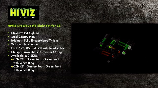 Amazon.com : HiViz Litewave H3 Sight Tritium LitePipe Day/Night