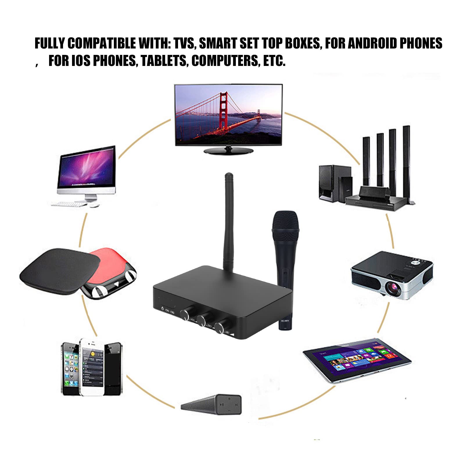 Bewinner Microfonico Wireless Professionale K2, Set Microfono Dinamico Cordless VHF con 2 Microfoni per Karaoke, Casa, Feste, Riunioni, TV, Telefoni, Tablet, Computer