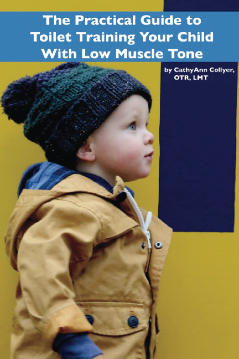 The Practical Guide To Toilet Training Your Child With Low Muscle Tone (The Prac