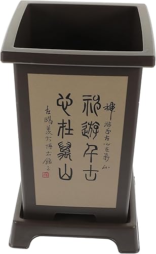 Miniatura 9 de Yardwe 3pcs clivia planta en maceta cactus maceta de riego automático maceta maceta profunda maceta alta maceta vivero maceta violeta africana