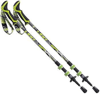 レキ　ストック２本 LEKI レキ スキー ポール ストック 2026 CARBON 12 3D / 653