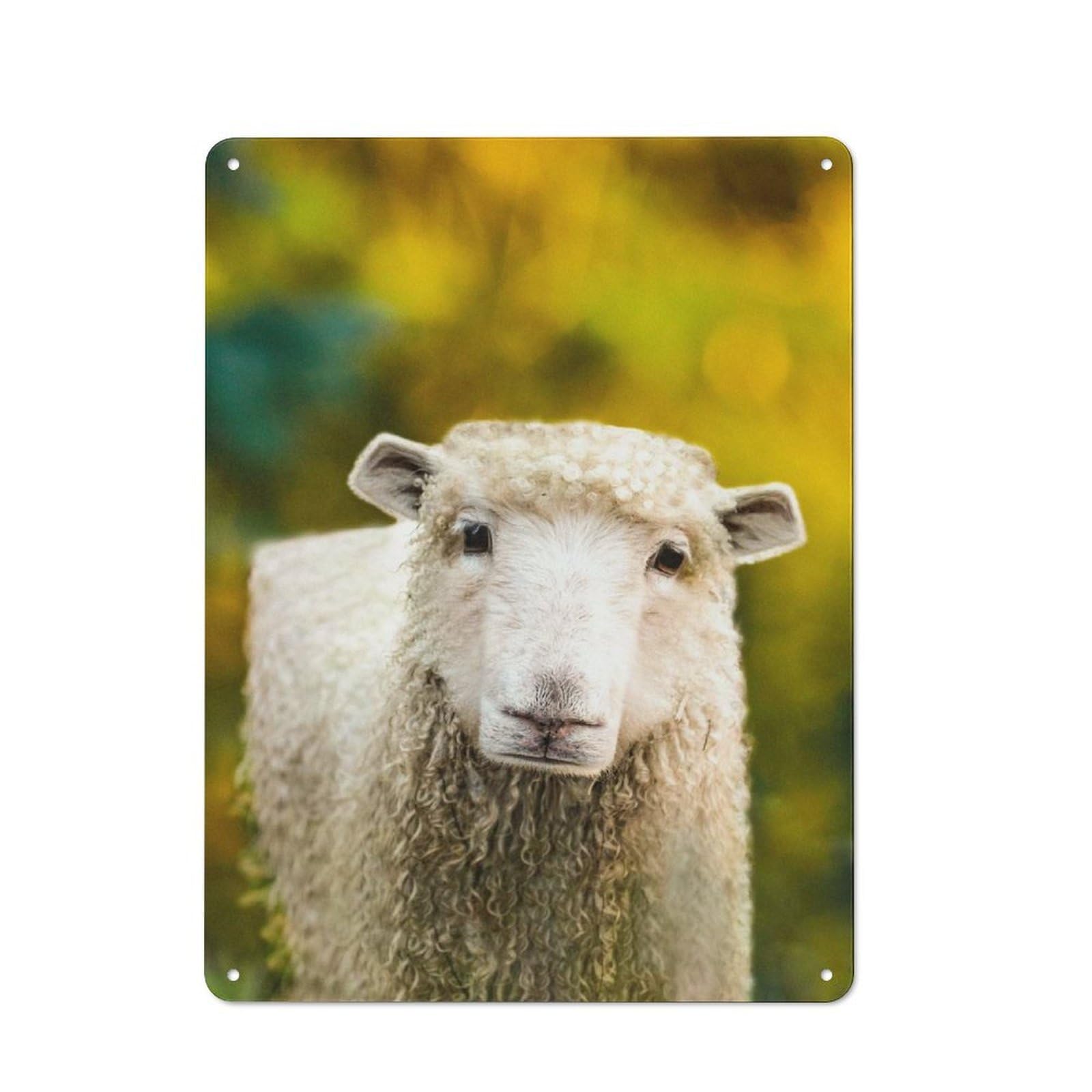 Tin Sign with Cubic Sheep Design 40x30cm, Understated Studio Wall Plaque for Hobby Room, Office, Lounge Or Living Room