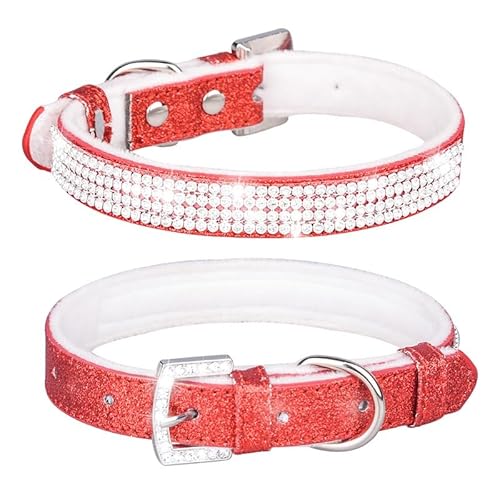 P_ChƃLL鐶ngpybgLpցB_炩̏oȂB(Red,L)