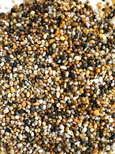 aqua natural gold pearl 10lb gravel substrate for aquariums terrariums and vivariums 2-4mm