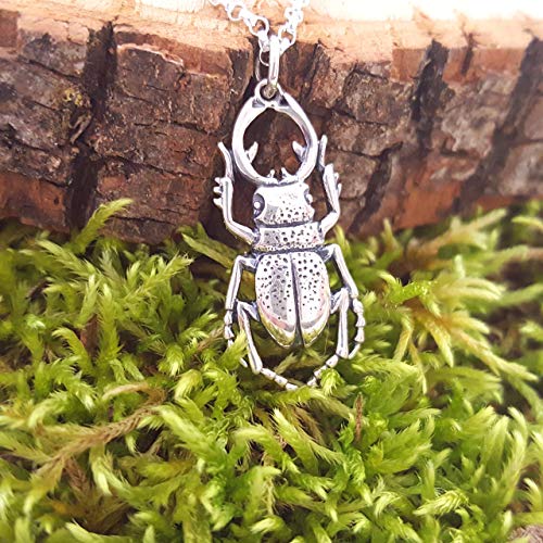 Stag Beetle Charm Necklace - Sterling Silver Necklace - Gift for Her