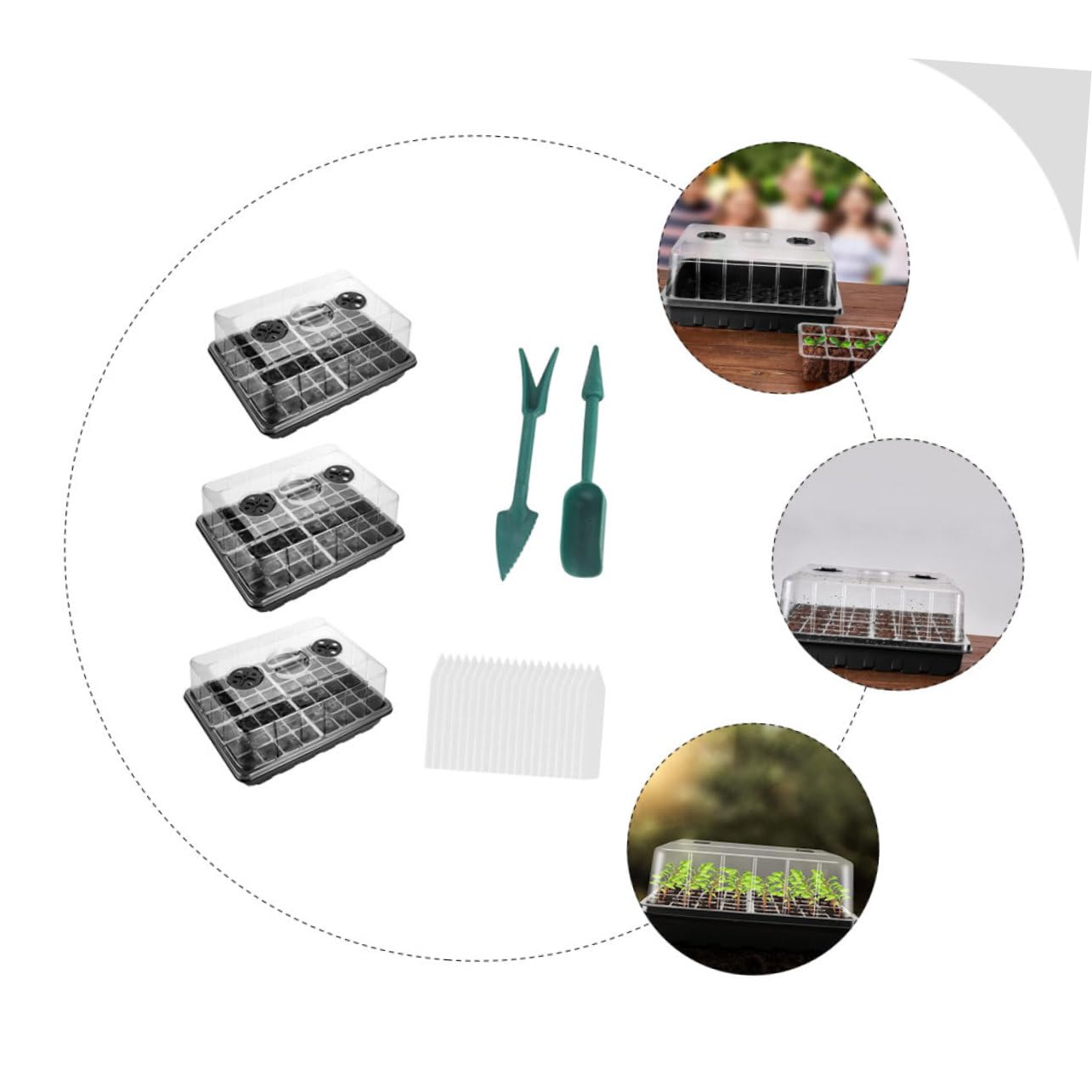Plateau de Germination pour Plantes, Lot de 1 Set de Set, Pp, Trous