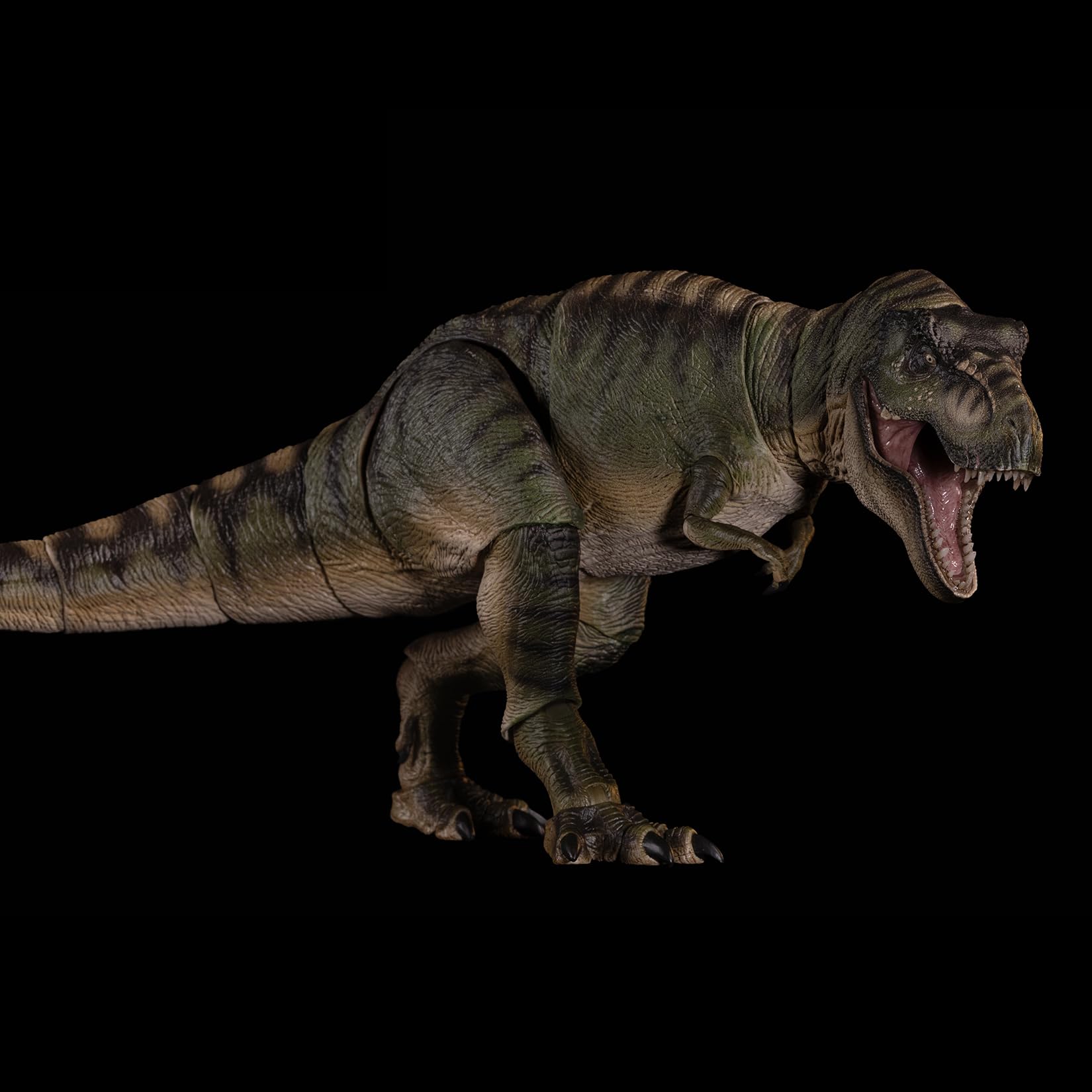 Amazon.co.jp: Nanmu 本心楠改 ティラノサウルス3.0 恐竜 フィギュア