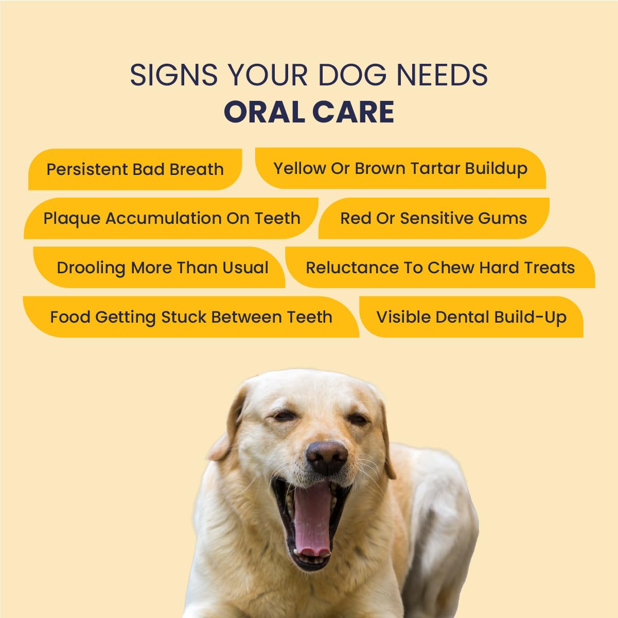 FUR BALL STORY Canni Clean Oral Care Spray for Dogs| Pet Dental Spray for Fresh Breath, Plaque & Tartar Removal | Supports Gum Health & Teeth Cleaning | with Peppermint, Fennel (Saunf) & Clove Oil 1