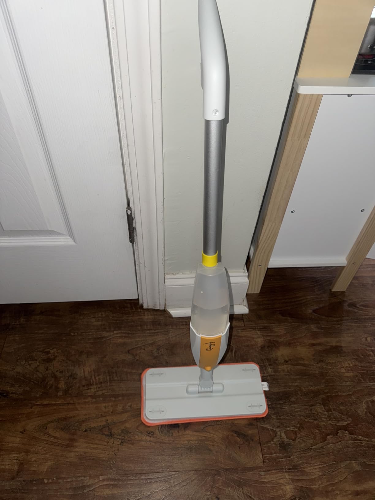 Toddler Toy Spray Mop