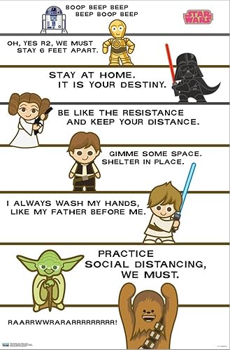 Miniatura 2 de Trends International Star Wars Saga - Shelter In Place Canvas Wall Poster