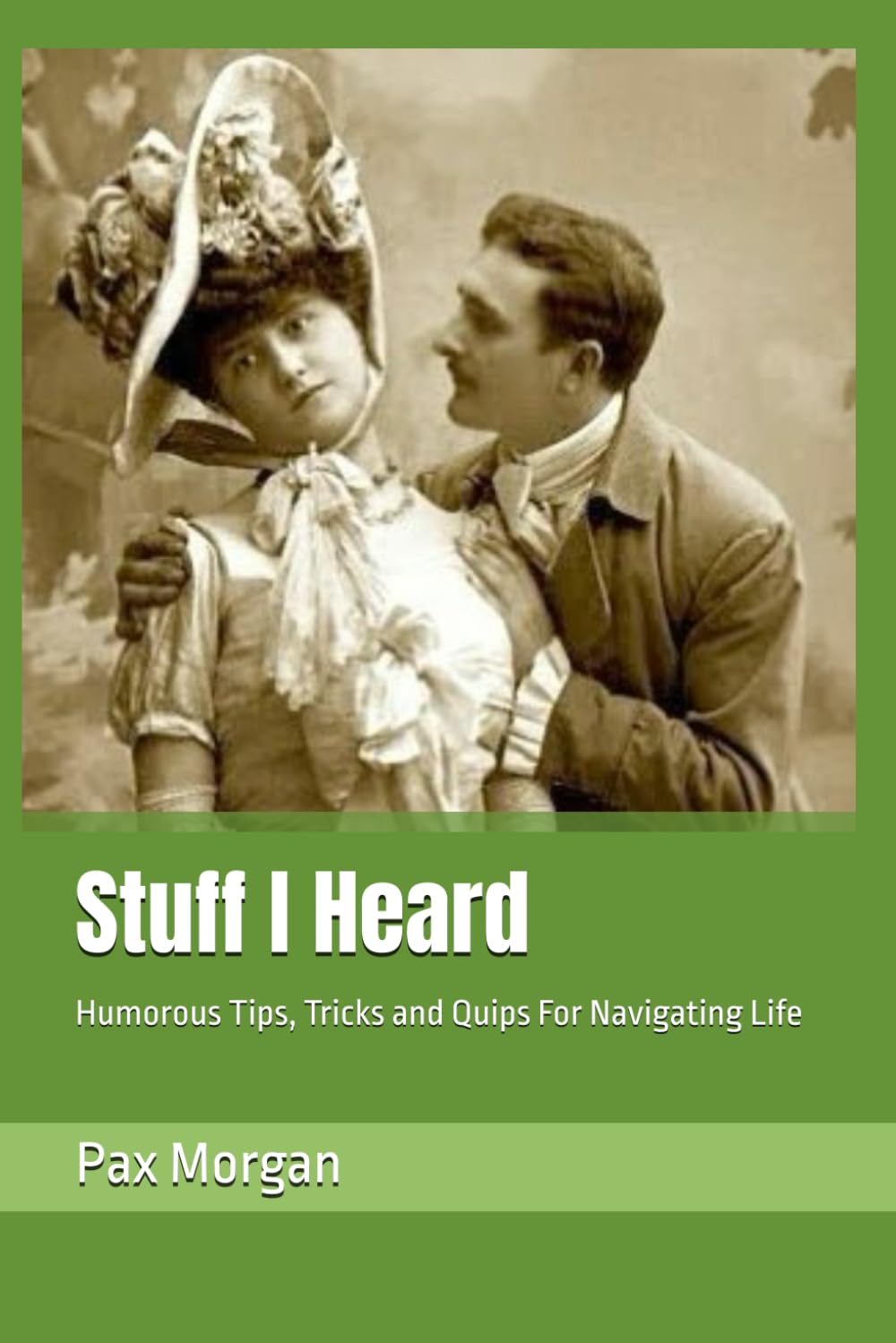Stuff I Heard: Humorous Tips, Tricks and Quips For Navigating Life