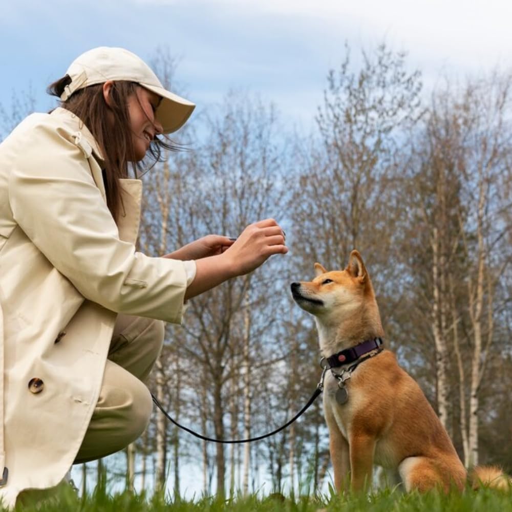 Cavo di sicurezza per cani da 3 m, resistente, per cani, campeggio, picnic, colore: nero