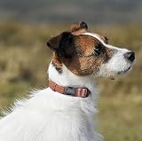 Ver la foto 3