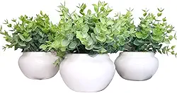 Vasinho de cerâmica com folhagem de eucalipto artificial