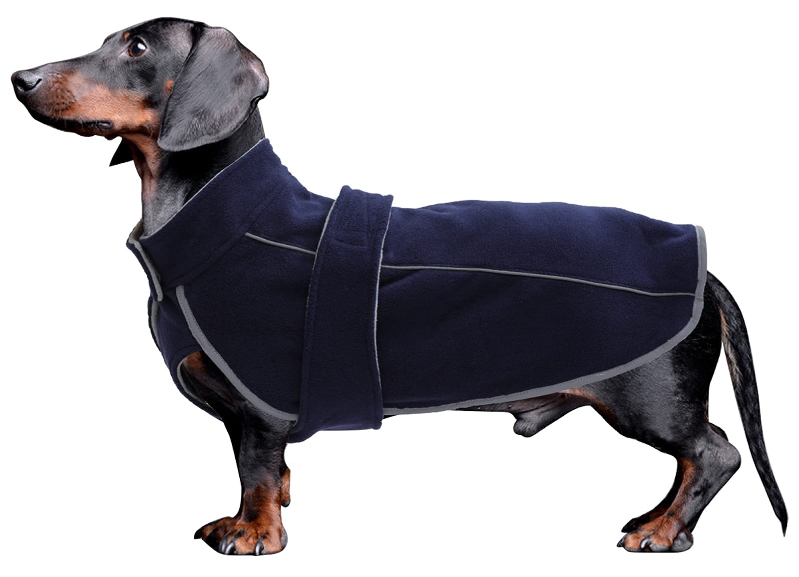 Buy Dog Coat Costume, Perfect for Dachshunds, Sausage, Dog Winter Coat