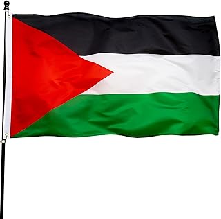 DANF Palestine Flag 3x5 Ft Thick Polyester, Fade Resistant, Brass Grommets, Canvas Header Palestinian National Flags with ...