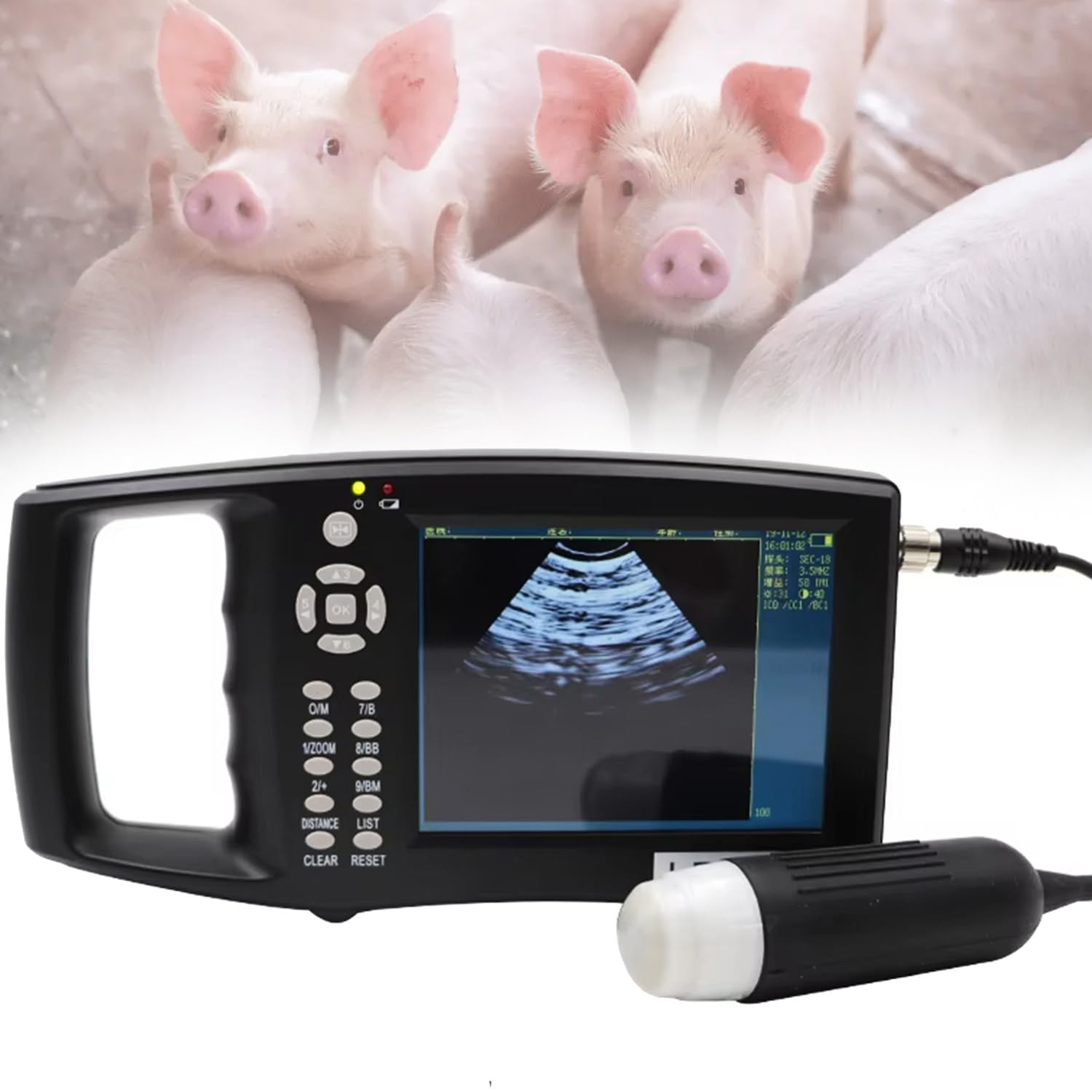 Échographie Vétérinaire Portable Ergonomique, Sonde Mécanique 3,5 MHz, Écran Couleur TFT 5,6", 4 Modes Couleur, Batterie Intégrée, pour Éleveurs, Détection Gestation Porcs et Moutons