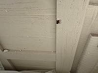 Review Image by happymomma happymomma