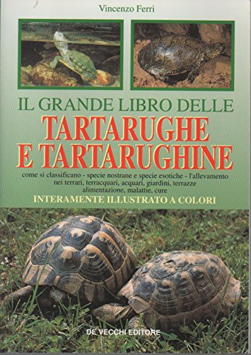 Il grande libro delle tartarughe e tartarughine