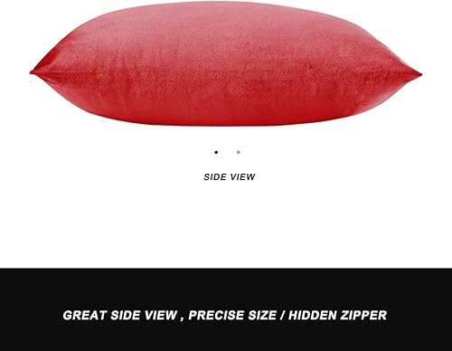 Vista 349 de GIGIZAZA - Juego de 2 fundas de almohada decorativas de 18 x 18 pulgadas, fundas de almohada cuadradas de terciopelo verde azulado pavo real