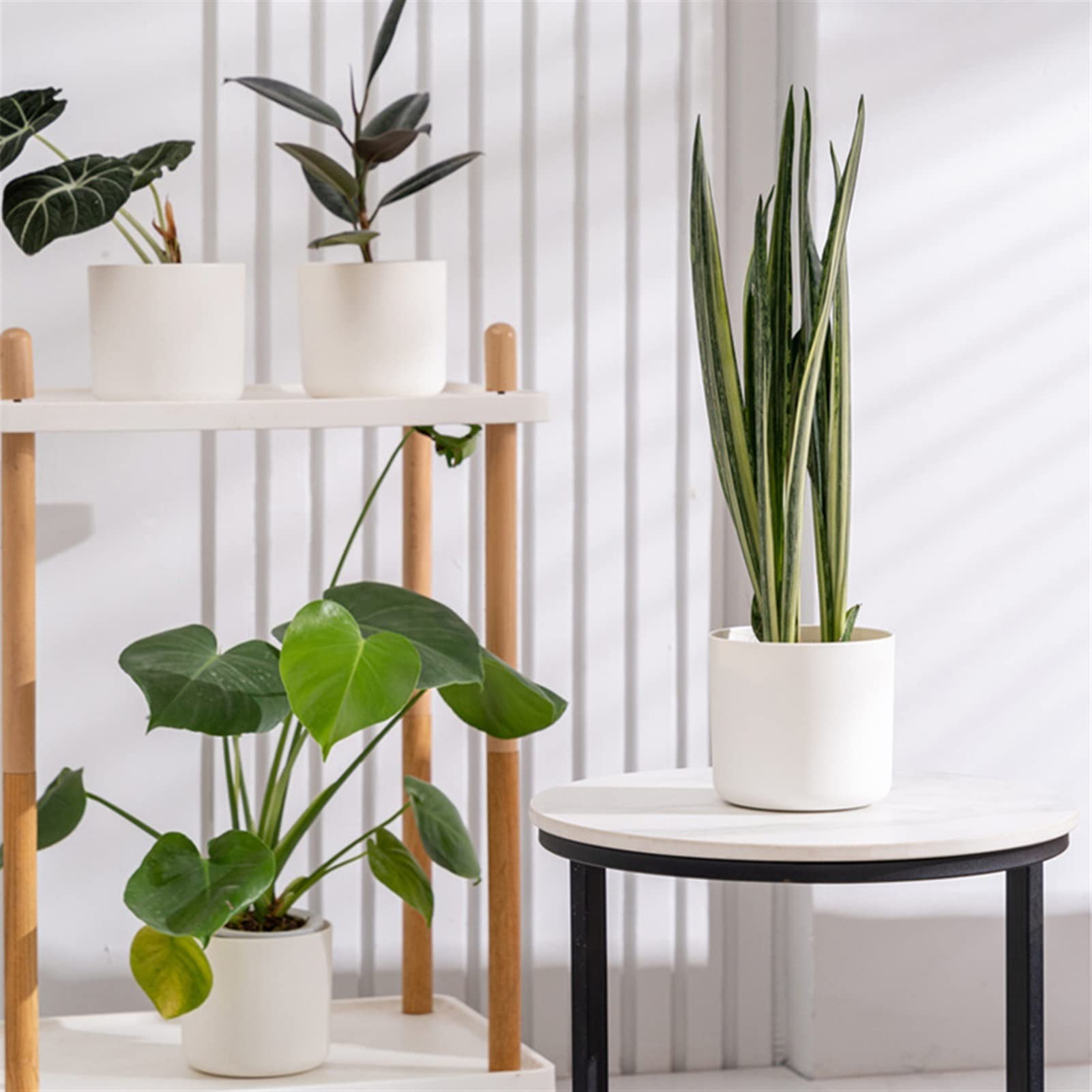 英国プラスチック植木鉢　1対専用です 英国プラスチック植木鉢 1対専用です 英国プラスチック植木鉢 1