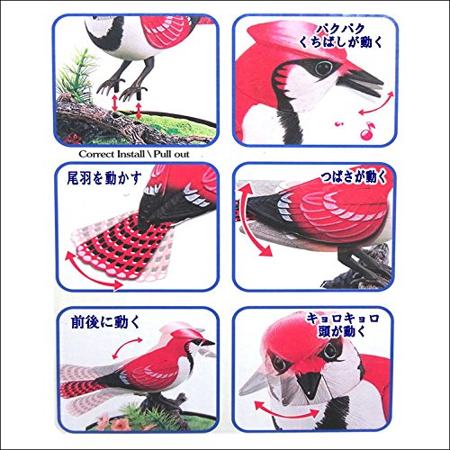 Amazon.co.jp: 鳥 装飾 玩具 置物 音センサー 【イエロー