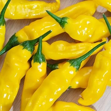 Chilli Pepper Hot Lemon Seeds