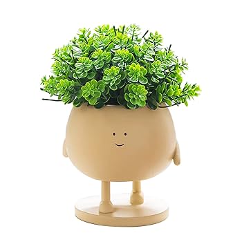 Amazon.co.jp: COTYNI フェイスプラントポット 多肉植物ポット