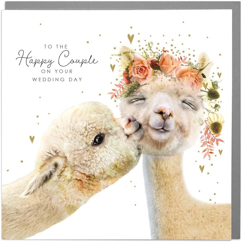 Lola Design - Wedding Day Card - Two Alpacas - Blank Card with Grey Envelope - Congratulations Card