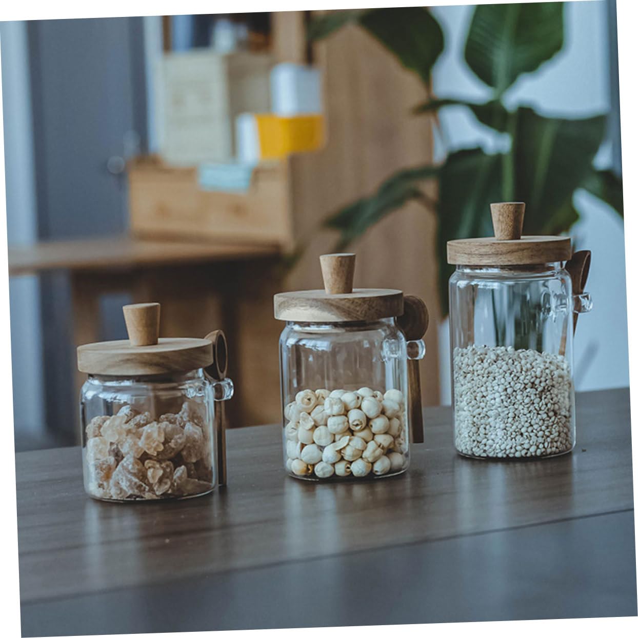 TOYANDONA Gewürzgläser Luftdichte Salzaufbewahrungsbehälter mit Holzdeckel und Löffel aus Glas 3 Stück Robust für Frische Gewürze den Familiengebrauch