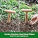Berry&Bird Hand Dibber, Stainless Steel Sow Dibbler with Wood Handle, Garden Hole Punch Dibbler Tool for Planting Seeds & Bulbs, Hand Held Bulb Planter for Planting Flowers Tulips, Daffodils, Dahlias