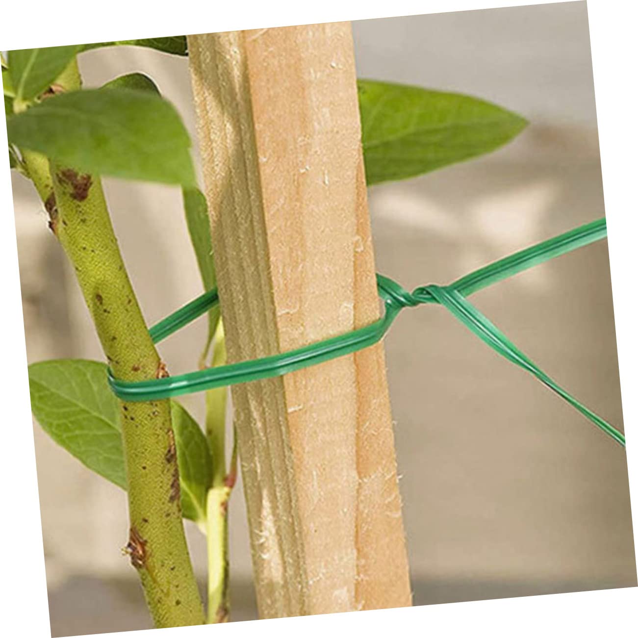 Kisangel 2000stücke Flexible Pflanzenbinder Für Garten Und Pflanzenunterstützung Für Fixieren Von Pflanzenstängeln Training Von Kletterpflanzen