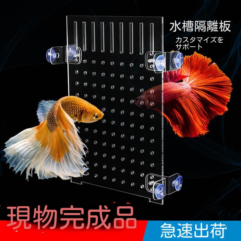 Amazon | 水槽仕切り板 20 セパレーター 水槽用 魚隔離板 透明 水槽