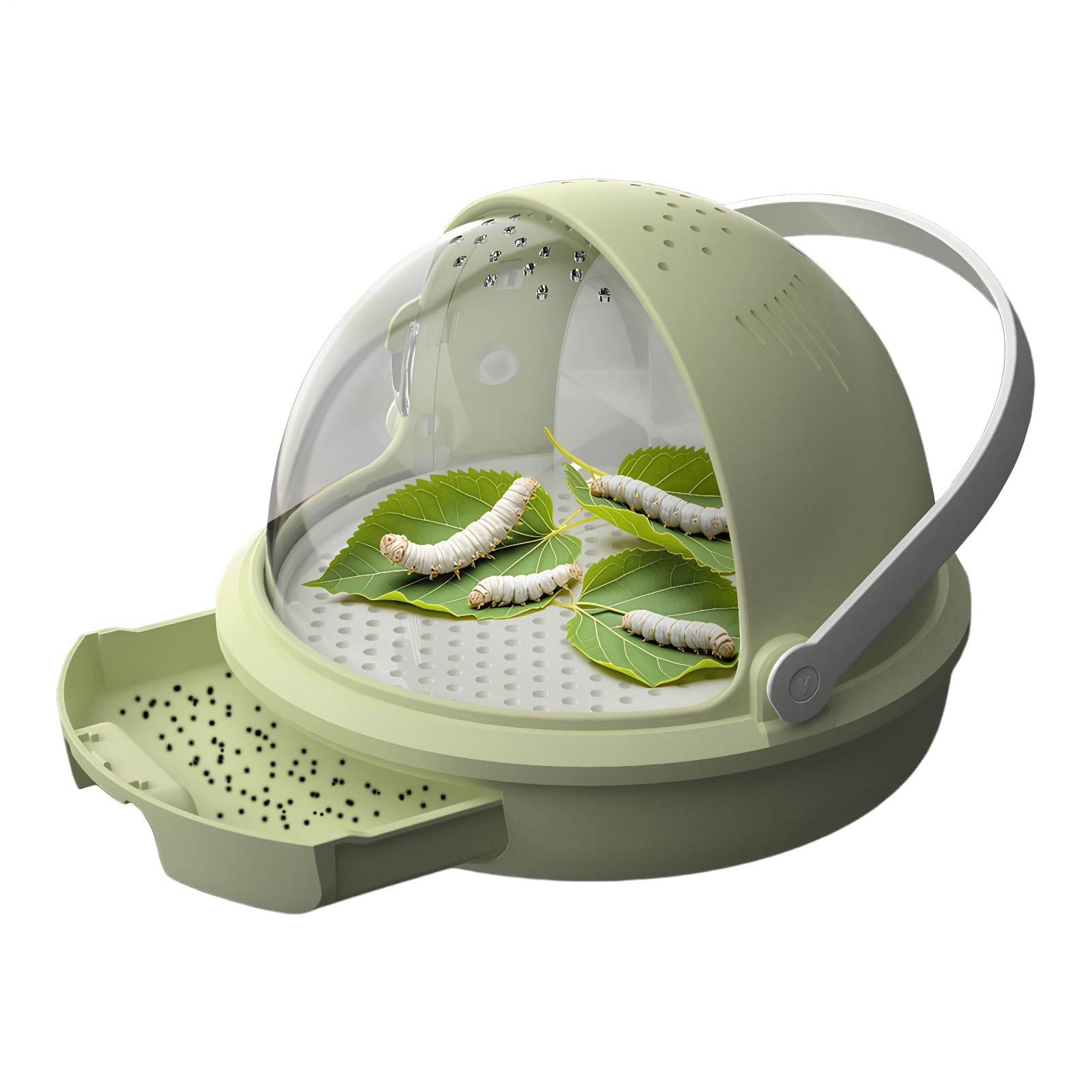 Mangeoire pour reptiles respirante avec vision transparente et tiroir amovible