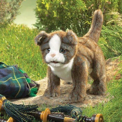 SCOTTISH FOLD KITTEN Puppet # 2989 ~/USA ~ Folkmanis Puppets .HN#GG_634T6344 G134548TY44361