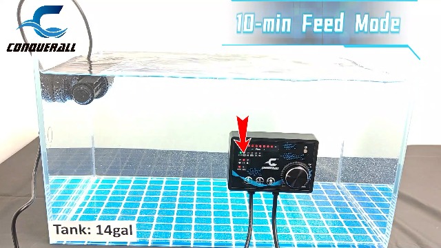 Amazon.com : CONQUERALL DC 24V Circulation Flow Pump with