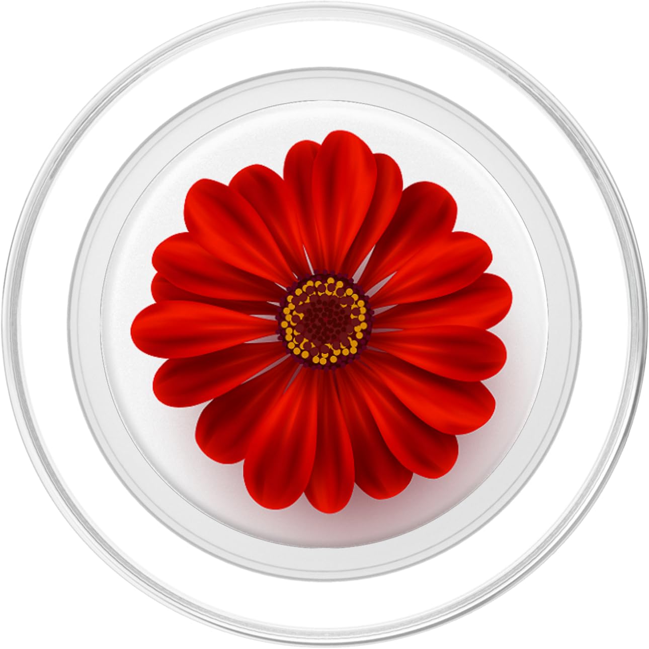 Cute Colorful Red Daisy Margarita Flower Floral White Base PopSockets Swappable PopGrip