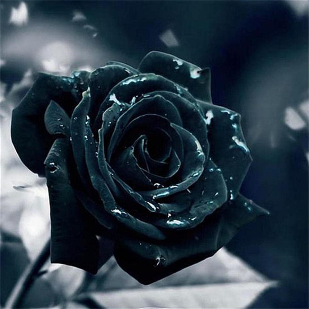 1000 Teile Puzzle – Rose In Schwarz-Weiß Rot, DIY Puzzle Für Erwachsene & Kinder