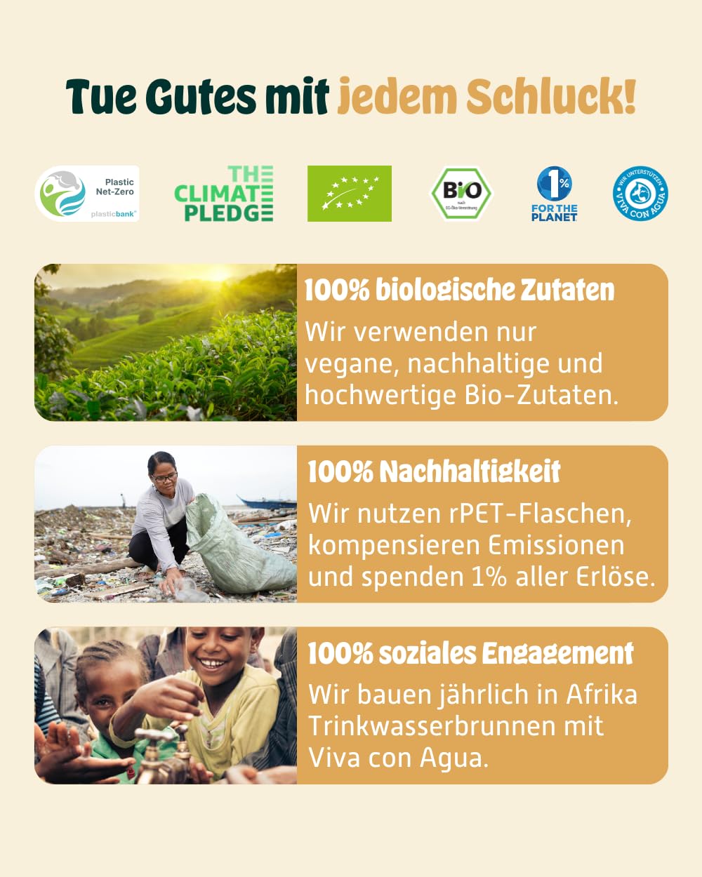 KOMBUCHERY® Balance Bundle | Raw Kombucha BIO | 12 x 400ml | Fermentierter Tee mit aktiven Darm-Kulturen | Zuckerarm & Kalorienarm | Unpasteurisiert, PrioBiotic, Vegan, Testsieger | inkl. 3€ PFAND