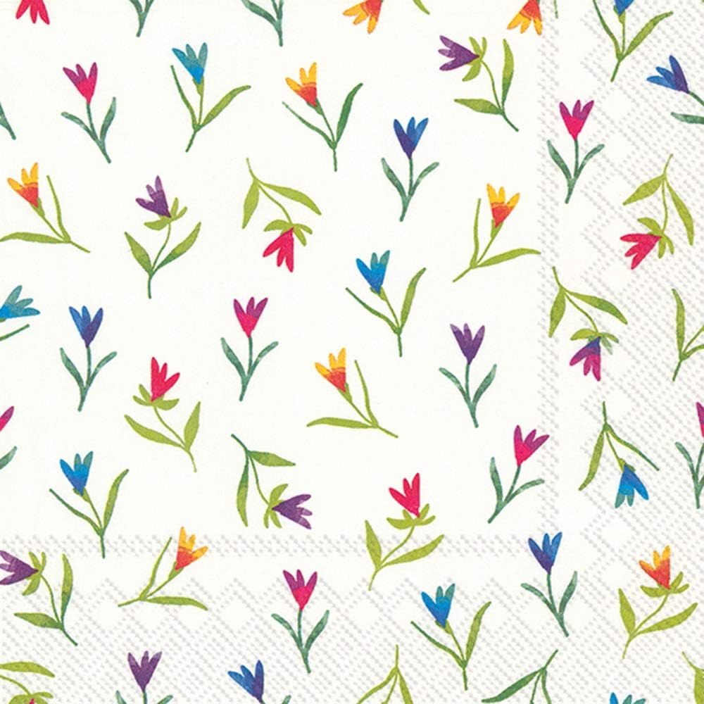 Papier Boston International L804560 Ihr 20 Count 3 Ply Papierservietten Apfel Und Birnencreme Stoffservietten Kuche Kochen Backen Savacaf Com