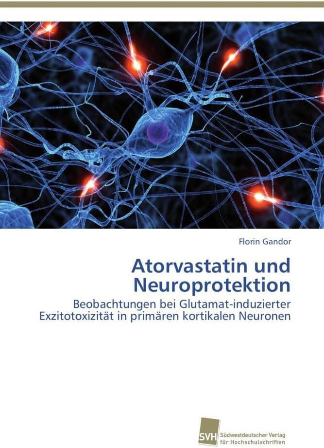 Atorvastatin und Neuroprotektion: Beobachtungen bei Glutamat-induzierter Exzitotoxizität in primären kortikalen Neuronen (German Edition)