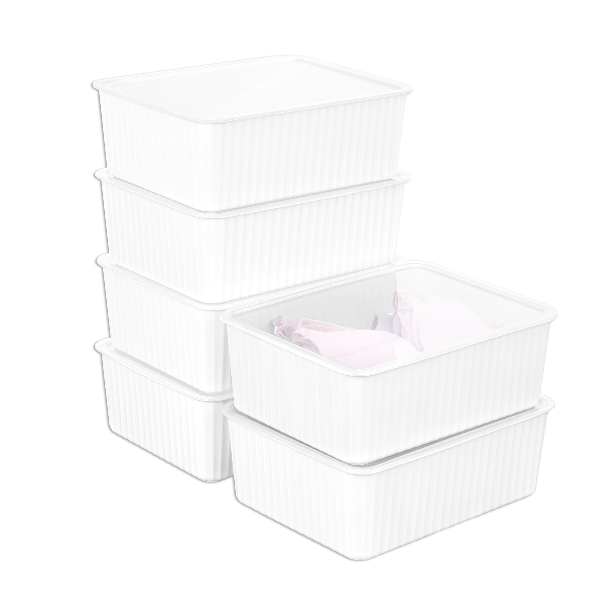 Cetomo Plastic Underwear Drawer Organizer with Lid, Lidded Storage Box for Bras, Plastic Basket for Closet and Shelf, Stackable, White (31 x 24 x 11 cm)
