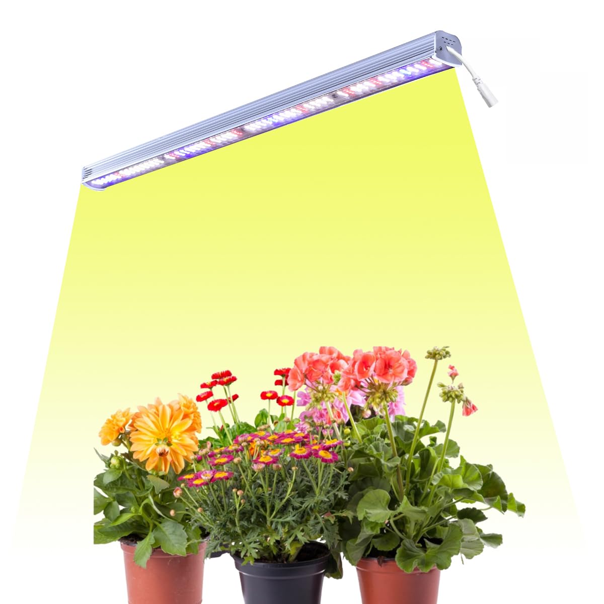 Fluortronix 2ft LED Grow Light Bar 40W Full Spectrum for Indoor Plants | High PAR, Aluminum Body, Energy Efficient | Ideal for Seedlings, Vegetative Growth & Hydroponics-image-26