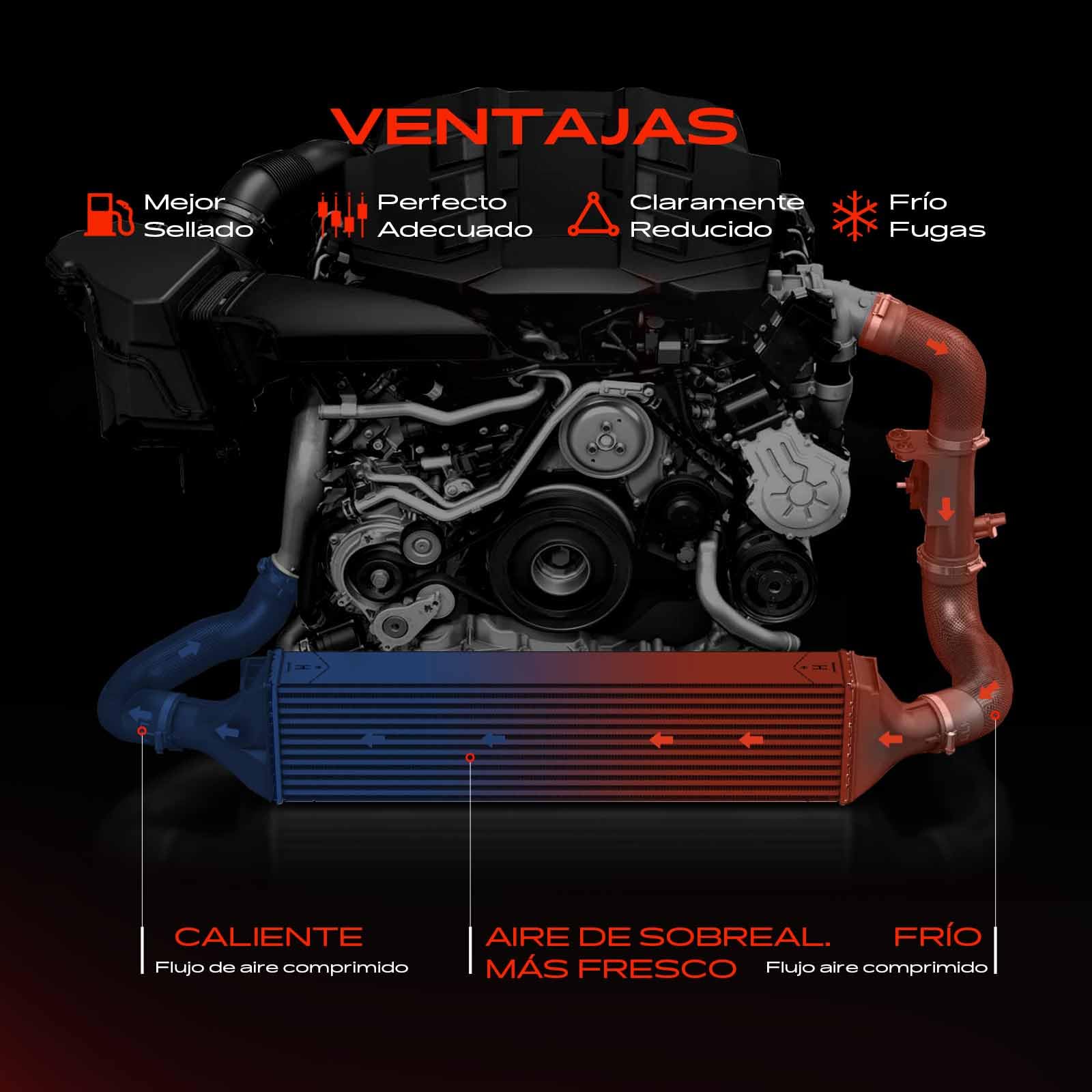 Frankberg Intercooler Diesel Compatible con Transporter/C.a.r.a.v.e.l.l.e VI Bus SGB SGJ SHB SHJ 2.0L Transporter V Bus 7EB 7EJ 7HB 7HJ 1.9L M.u.l.t.i.v.a.n V 7EF 7EM 7EN 7HF 7HM 7HN 2.5L 7H0145804B
