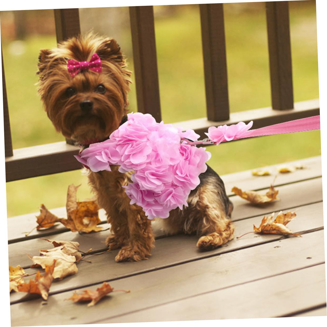 Kisangel 3stücke Verstellbares Blumen-hundegeschirr Mit Leine Atmungsaktives Und Niedliches Design Für Kleine Und Mittelgroße Hunde XL Für Frühling Und Sommer